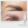 Remover Schulung, online